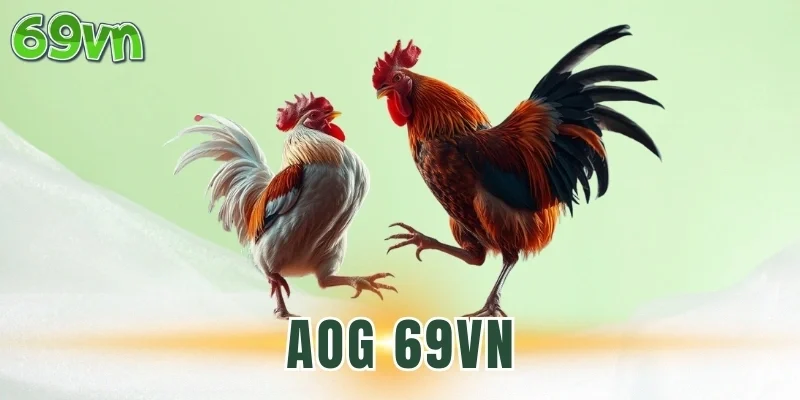 Những cửa cược có trong AOG 69VN