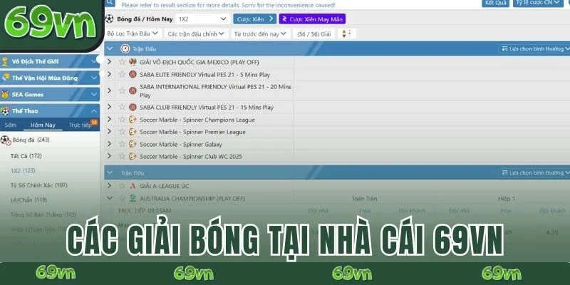 Các giải bóng tại nhà cái 69VN