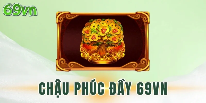 Tính năng thú vị của Chậu Phúc Đầy 69VN