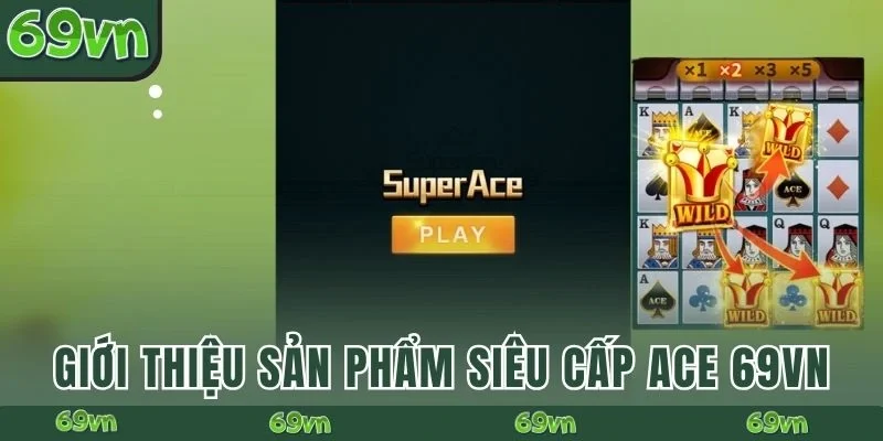 Giới thiệu sản phẩm Siêu cấp Ace 69VN