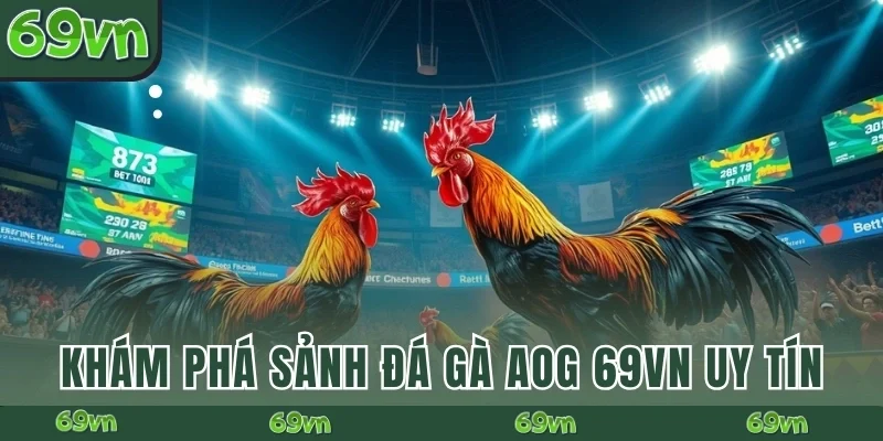Khám phá sảnh đá gà AOG 69VN uy tín