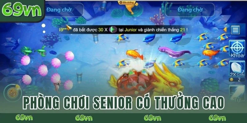 Phòng chơi Senior có thưởng cao
