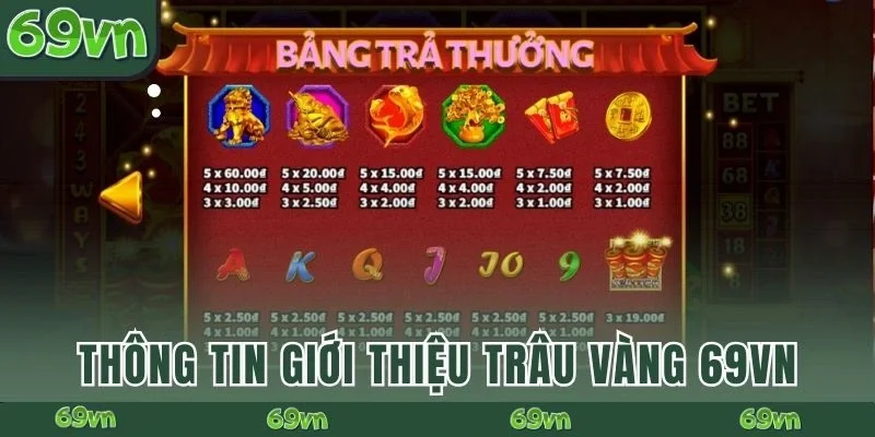 Những thông tin giới thiệu Trâu Vàng 69VN