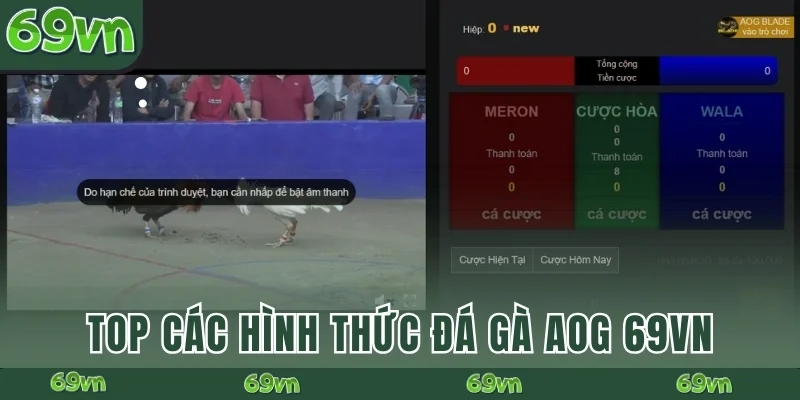 Top các hình thức đá gà AOG 69VN