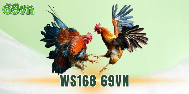 Bộ quy tắc khi cá cược tại WS168 69VN